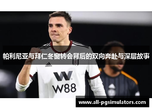 帕利尼亚与拜仁冬窗转会背后的双向奔赴与深层故事