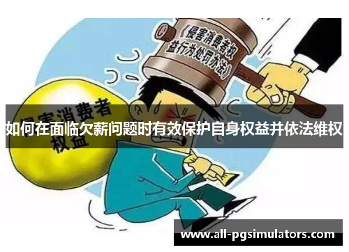 如何在面临欠薪问题时有效保护自身权益并依法维权