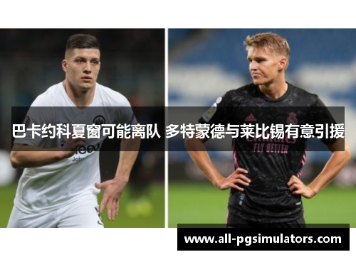 巴卡约科夏窗可能离队 多特蒙德与莱比锡有意引援