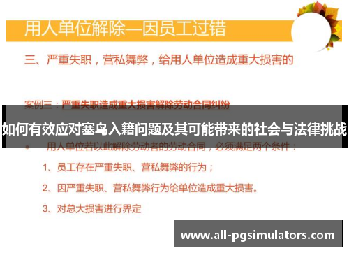 如何有效应对塞鸟入籍问题及其可能带来的社会与法律挑战