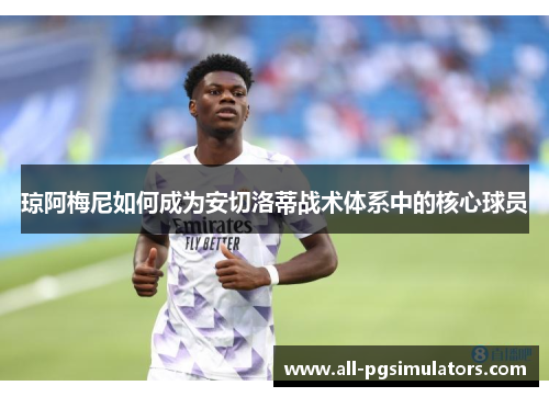 琼阿梅尼如何成为安切洛蒂战术体系中的核心球员