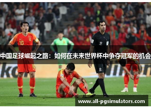 中国足球崛起之路：如何在未来世界杯中争夺冠军的机会