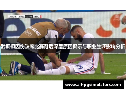 武桐桐因伤缺席比赛背后深层原因揭示与职业生涯影响分析