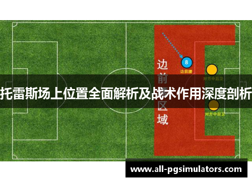 托雷斯场上位置全面解析及战术作用深度剖析