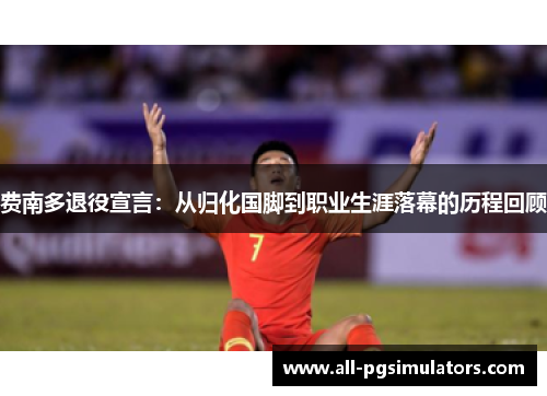 费南多退役宣言：从归化国脚到职业生涯落幕的历程回顾