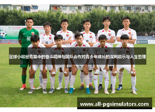 足球小将世青篇中的奋斗精神与团队合作对青少年成长的深刻启示与人生哲理